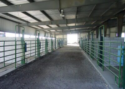 Metal Arena Building with individual stalls